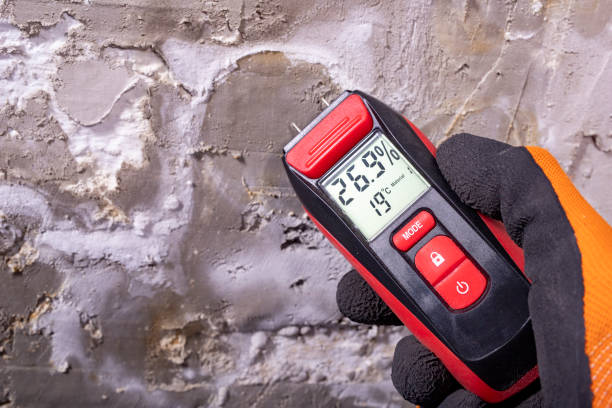 Best Local Mold Removal Service  in Guttenberg, IA